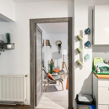 Bright And Beautiful Grigorescu 아파트 클루지나포카