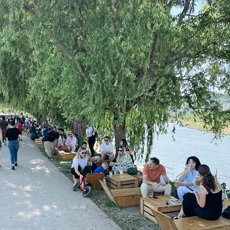 Bright And Beautiful Grigorescu