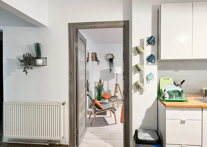 Bright And Beautiful Grigorescu Appartamento Cluj-Napoca