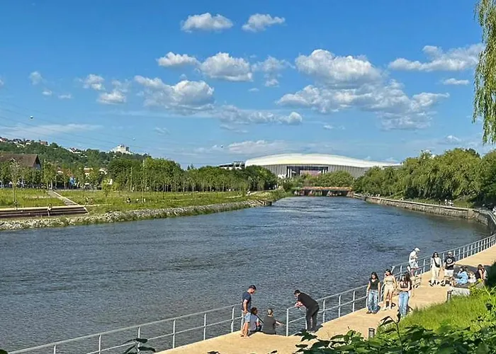 Апартаменты Bright And Beautiful Grigorescu *